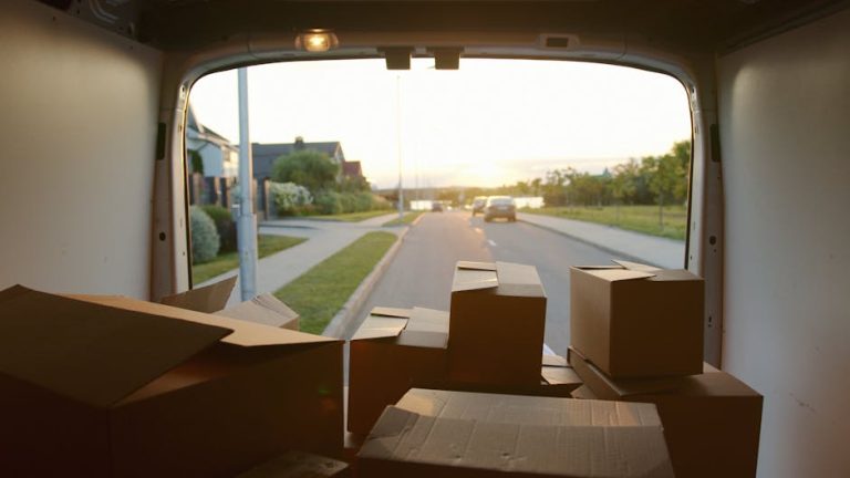 The Eco-Friendly Revolution: Sustainable Package Delivery Services Taking Over